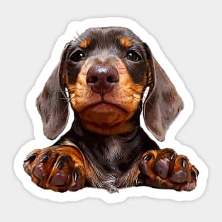 Dachshund Chocolate Tan Pup Sticker